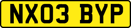 NX03BYP