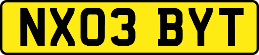 NX03BYT