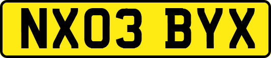 NX03BYX