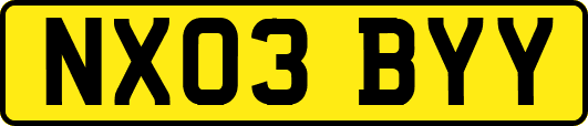 NX03BYY