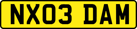 NX03DAM