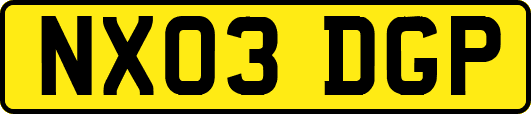 NX03DGP