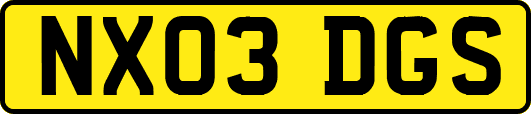 NX03DGS
