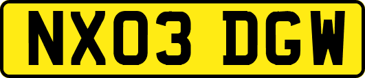 NX03DGW