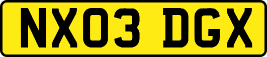 NX03DGX