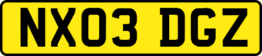 NX03DGZ