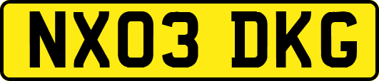 NX03DKG