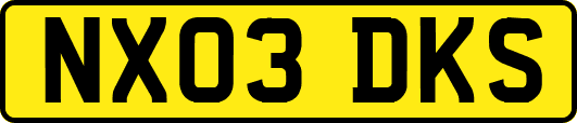 NX03DKS