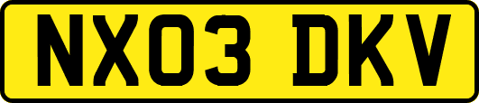 NX03DKV