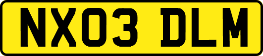 NX03DLM