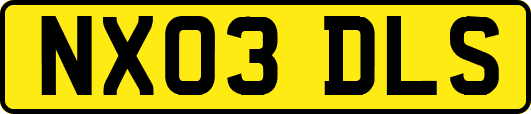 NX03DLS