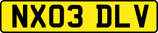 NX03DLV
