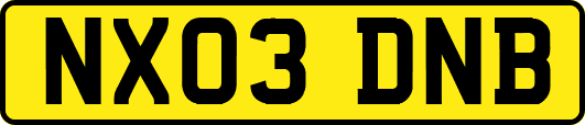 NX03DNB