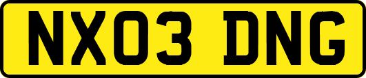 NX03DNG