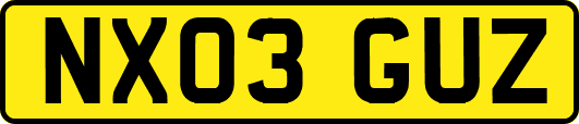 NX03GUZ