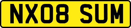 NX08SUM