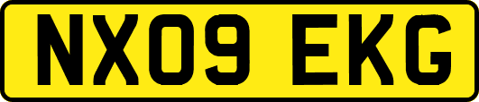 NX09EKG