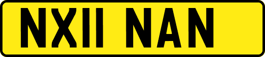 NX11NAN