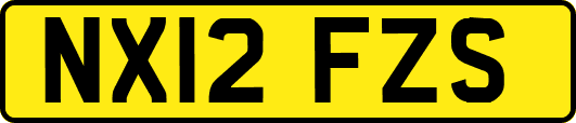 NX12FZS