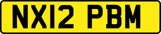 NX12PBM