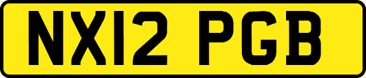 NX12PGB