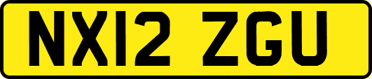 NX12ZGU