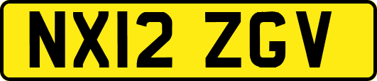 NX12ZGV