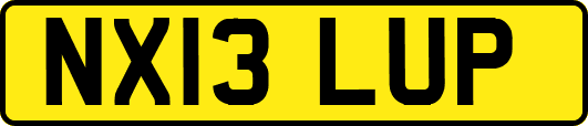 NX13LUP