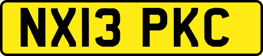 NX13PKC