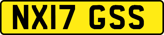 NX17GSS