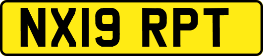 NX19RPT
