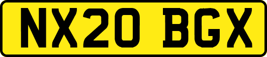 NX20BGX