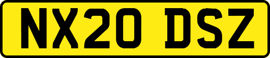 NX20DSZ