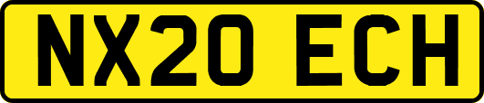 NX20ECH