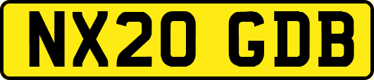 NX20GDB