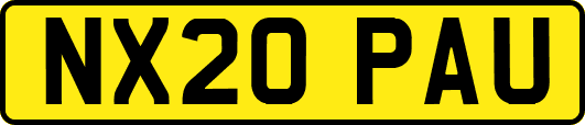 NX20PAU