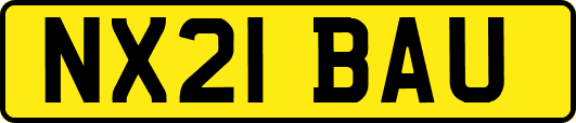 NX21BAU