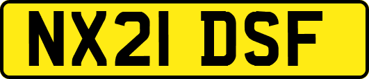 NX21DSF