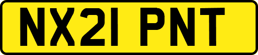 NX21PNT