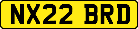 NX22BRD