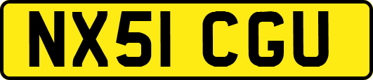 NX51CGU