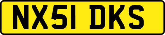 NX51DKS