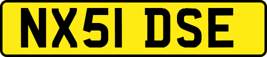 NX51DSE