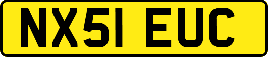 NX51EUC