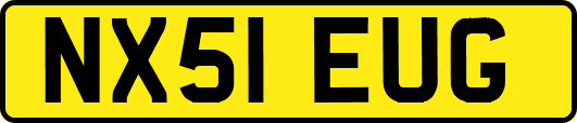 NX51EUG