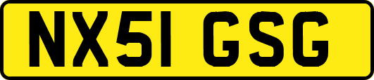 NX51GSG