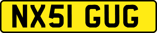 NX51GUG