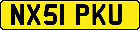 NX51PKU