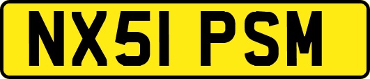 NX51PSM