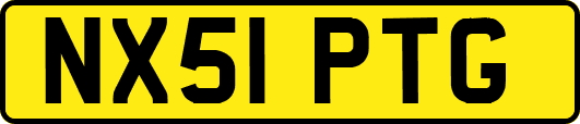 NX51PTG